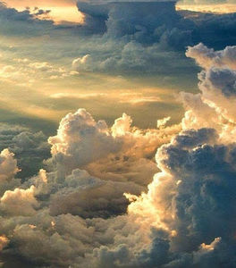 Meet your Posher, Dody